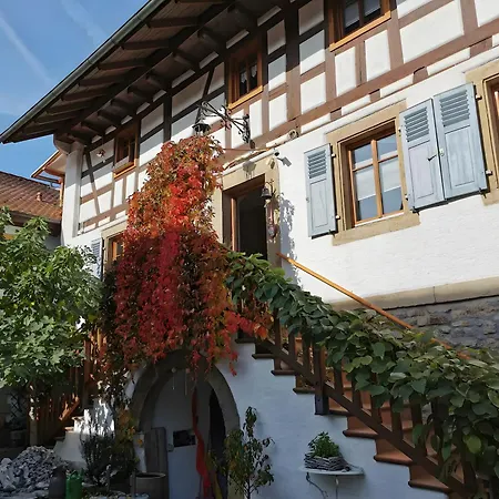 Casa Rose Pere זינסהיים